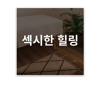 섹시 컨셉